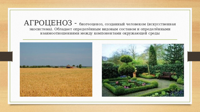 АГРОЦЕНОЗ - биогеоценоз, созданный человеком (искусственная экосистема). Обладает определённым видовым составом и определёнными взаимоотношениями между компонентами окружающей среды 