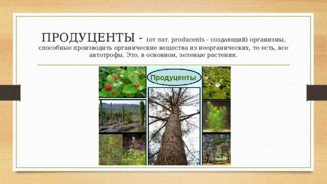 ПРОДУЦЕНТЫ - (от лат. producents - создающий) организмы, способные производить органические вещества из неорганических, то есть, все автотрофы. Это, в основном, зеленые растения. 