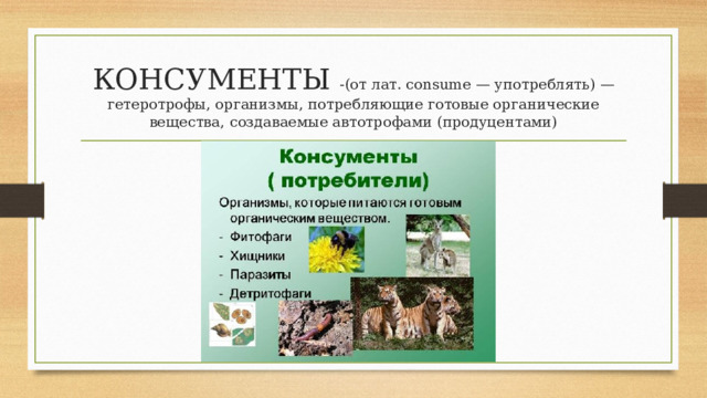 КОНСУМЕНТЫ -(от лат. consumе — употреблять) — гетеротрофы, организмы, потребляющие готовые органические вещества, создаваемые автотрофами (продуцентами) 