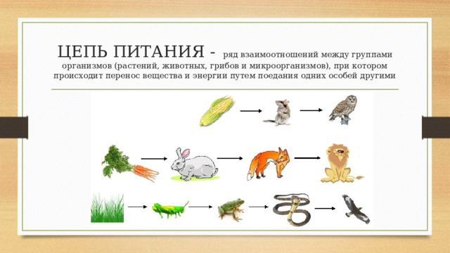 ЦЕПЬ ПИТАНИЯ -  ряд взаимоотношений между группами организмов (растений, животных, грибов и микроорганизмов), при котором происходит перенос вещества и энергии путем поедания одних особей другими 