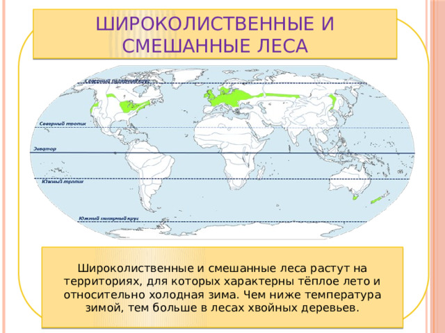 Широколиственные и смешанные леса Широколиственные и смешанные леса растут на территориях, для которых характерны тёплое лето и относительно холодная зима. Чем ниже температура зимой, тем больше в лесах хвойных деревьев. 