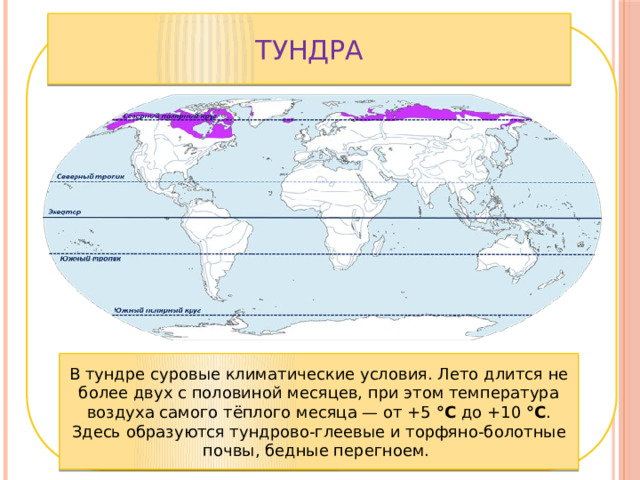 Тундра В тундре суровые климатические условия. Лето длится не более двух с половиной месяцев, при этом температура воздуха самого тёплого месяца — от +5  °С  до +10  °С . Здесь образуются тундрово-глеевые и торфяно-болотные почвы, бедные перегноем.  