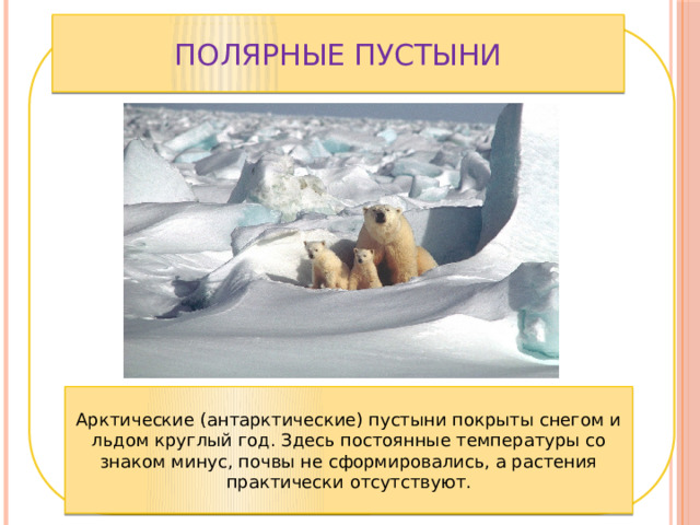 Полярные пустыни Арктические (антарктические) пустыни покрыты снегом и льдом круглый год. Здесь постоянные температуры со знаком минус, почвы не сформировались, а растения практически отсутствуют. 