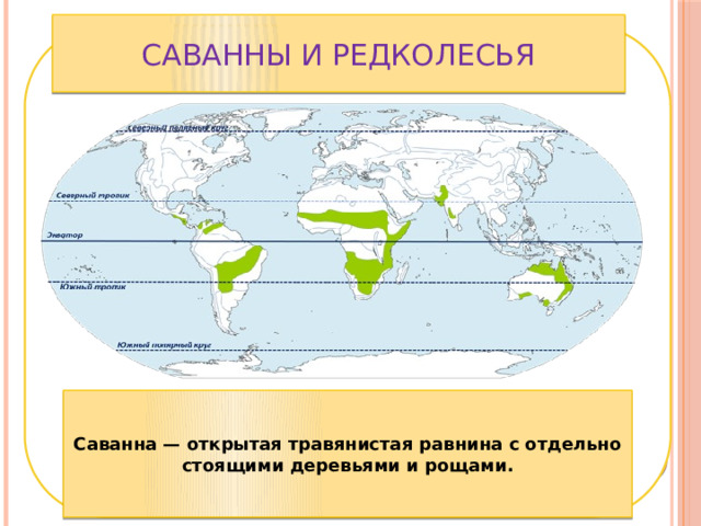 Саванны и редколесья Саванна — открытая травянистая равнина с отдельно стоящими деревьями и рощами. 
