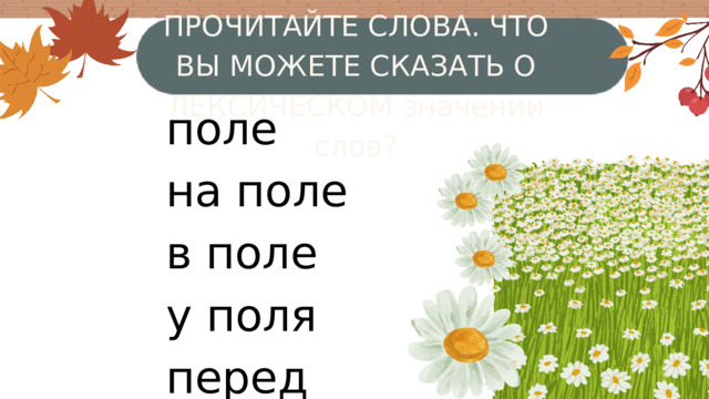 ПРОЧИТАЙТЕ СЛОВА. ЧТО ВЫ МОЖЕТЕ СКАЗАТЬ О ЛЕКСИЧЕСКОМ значении слов? поле на поле в поле у поля перед полем 