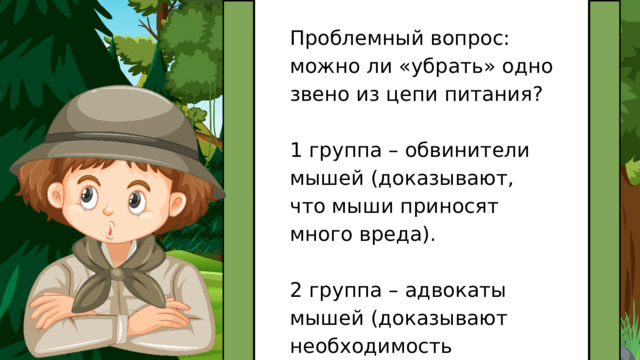 Проблемный вопрос: можно ли «убрать» одно звено из цепи питания? 1 группа – обвинители мышей (доказывают, что мыши приносят много вреда). 2 группа – адвокаты мышей (доказывают необходимость сохранения мышей в природе). 