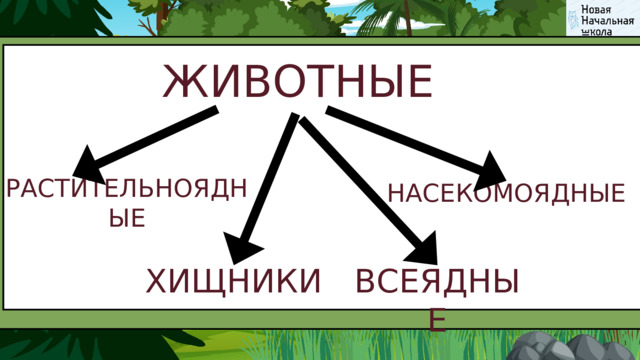 ЖИВОТНЫЕ РАСТИТЕЛЬНОЯДНЫЕ НАСЕКОМОЯДНЫЕ ХИЩНИКИ ВСЕЯДНЫЕ 