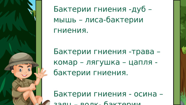Бактерии гниения -дуб – мышь – лиса-бактерии гниения. Бактерии гниения -трава – комар – лягушка – цапля - бактерии гниения. Бактерии гниения - осина – заяц – волк- бактерии гниения. 