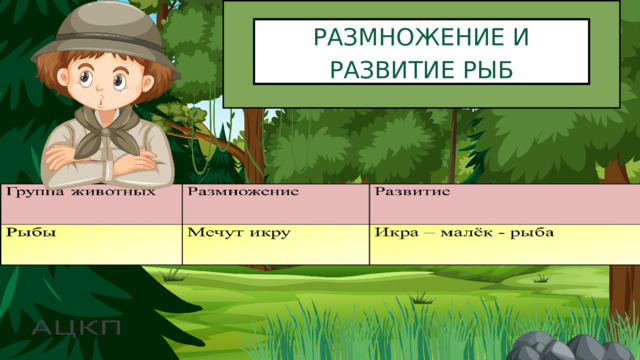 РАЗМНОЖЕНИЕ И РАЗВИТИЕ РЫБ 