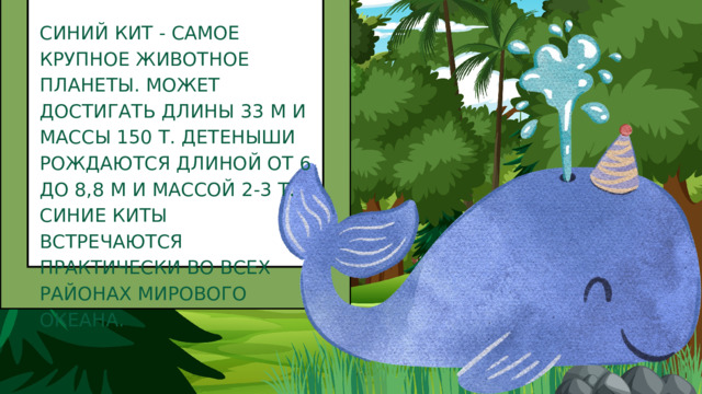 СИНИЙ КИТ - САМОЕ КРУПНОЕ ЖИВОТНОЕ ПЛАНЕТЫ. МОЖЕТ ДОСТИГАТЬ ДЛИНЫ 33 М И МАССЫ 150 Т. ДЕТЕНЫШИ РОЖДАЮТСЯ ДЛИНОЙ ОТ 6 ДО 8,8 М И МАССОЙ 2-3 Т. СИНИЕ КИТЫ ВСТРЕЧАЮТСЯ ПРАКТИЧЕСКИ ВО ВСЕХ РАЙОНАХ МИРОВОГО ОКЕАНА. 