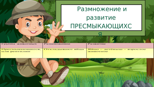  Размножение и развитие ПРЕСМЫКАЮЩИХСЯ 