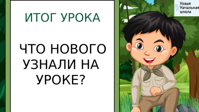 ИТОГ УРОКА  ЧТО НОВОГО УЗНАЛИ НА УРОКЕ? 