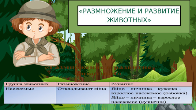 «РАЗМНОЖЕНИЕ И РАЗВИТИЕ ЖИВОТНЫХ» 