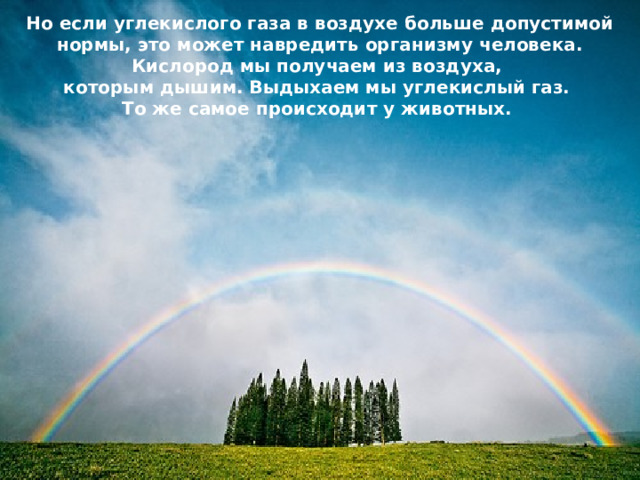 Но если углекислого газа в воздухе больше допустимой нормы, это может навредить организму человека. Кислород мы получаем из воздуха, которым дышим. Выдыхаем мы углекислый газ. То же самое происходит у животных. 