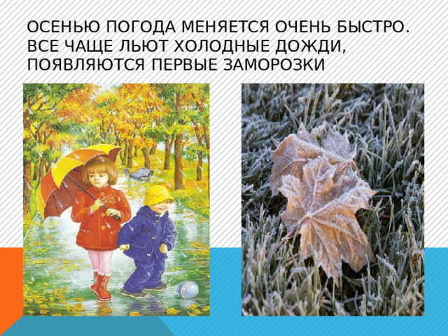 Осенью погода меняется очень быстро. Все чаще льют холодные дожди, появляются первые заморозки  