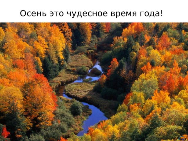 Осень это чудесное время года! 