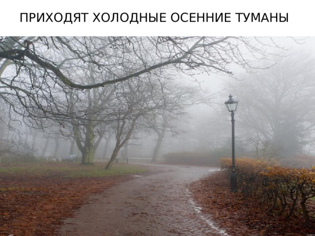 Приходят холодные осенние туманы 