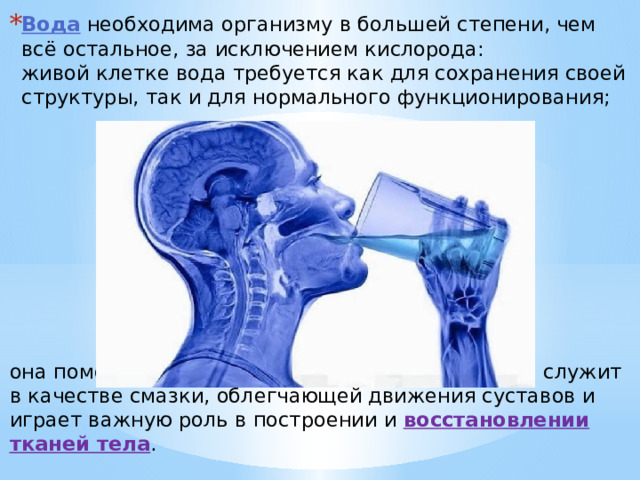 Вода необходима организму в большей степени, чем всё остальное, за исключением кислорода:  живой клетке вода требуется как для сохранения своей структуры, так и для нормального функционирования; она помогает регулировать температуру  тела, служит в качестве смазки, облегчающей движения суставов и играет важную роль в построении и восстановлении тканей тела . 