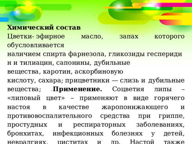 Химический состав Цветки- эфирное масло, запах которого обусловливается наличием спирта фарнезола, гликозиды гесперидин и тилиацин, сапонины, дубильные вещества, каротин, аскорбиновую кислоту, сахара; прицветники — слизь и дубильные вещества; . Применение. Соцветия липы – «липовый цвет» – применяют в виде горячего настоя в качестве жаропонижающего и противовоспалительного средства при гриппе, простудных и респираторных заболеваниях, бронхитах, инфекционных болезнях у детей, невралгиях, циститах и др. Настой также применяют как бактерицидное средство для полоскания полости рта и горла при ангине. 
