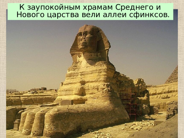  К заупокойным храмам Среднего и Нового царства вели аллеи сфинксов. 