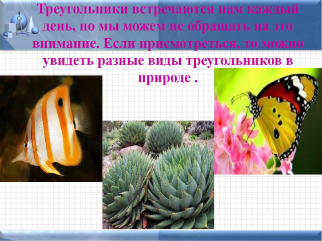 Треугольники встречаются нам каждый день, но мы можем не обращать на это внимание. Если присмотреться, то можно увидеть разные виды треугольников в природе . 