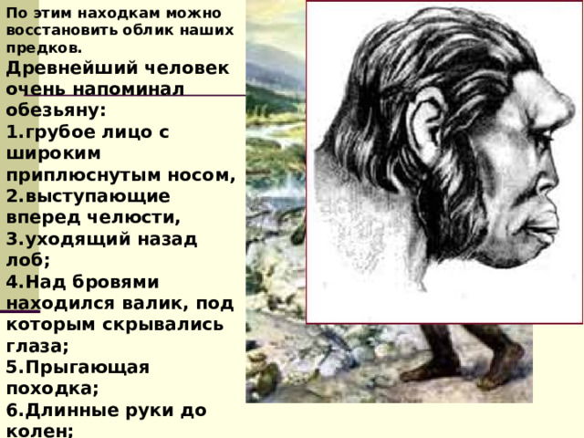 По этим находкам можно восстановить облик наших предков. Древнейший человек очень напоминал обезьяну: грубое лицо с широким приплюснутым носом, выступающие вперед челюсти, уходящий назад лоб; Над бровями находился валик, под которым скрывались глаза; Прыгающая походка; Длинные руки до колен; Не умели разговаривать.   