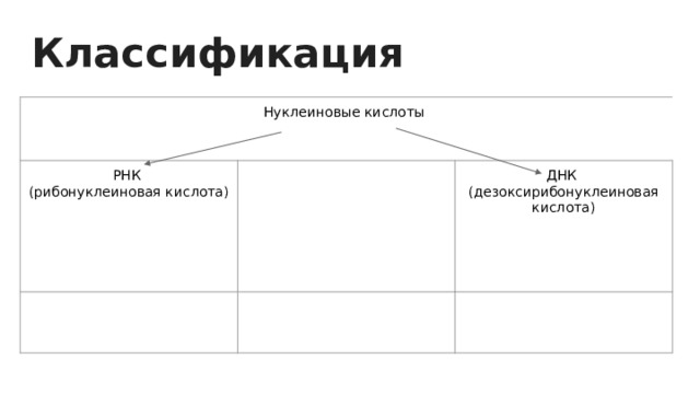 Классификация Нуклеиновые кислоты РНК (рибонуклеиновая кислота) ДНК (дезоксирибонуклеиновая кислота) 