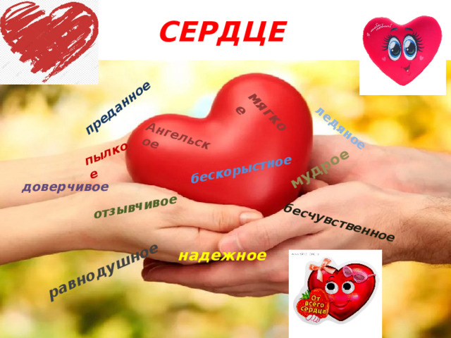 бескорыстное мудрое мягкое преданное ледяное пылкое отзывчивое бесчувственное равнодушное Ангельское   СЕРДЦЕ доверчивое надежное 