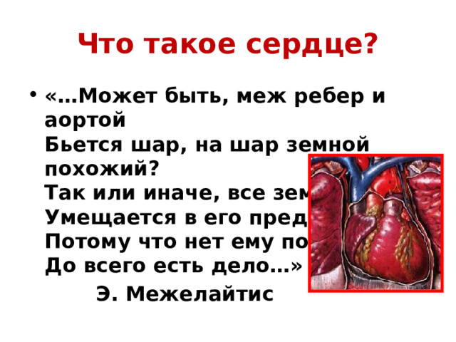 Что такое сердце? «…Может быть, меж ребер и аортой  Бьется шар, на шар земной похожий?  Так или иначе, все земное  Умещается в его пределы,  Потому что нет ему покоя,  До всего есть дело…»    Э. Межелайтис 