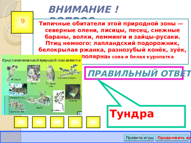 Тундра ВНИМАНИЕ ! ВОПРОС 9 Типичные обитатели этой природной зоны —северные олени, лисицы, песец, снежные бараны, волки, лемминги и зайцы-русаки. Птиц немного: лапландский подорожник, белокрылая ржанка, разнозубый конёк, зуёк, пуночка, полярна я сова и белая куропатка Правильный ответ Правила игры Продолжить игру 