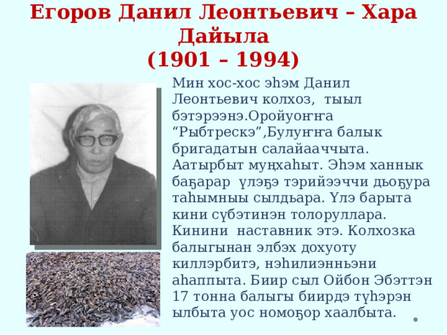 Егоров Данил Леонтьевич – Хара Дайыла  (1901 – 1994) Мин хос-хос эһэм Данил Леонтьевич колхоз, тыыл бэтэрээнэ.Оройуоҥҥа “Рыбтрескэ”,Булуҥҥа балык бригадатын салайааччыта. Аатырбыт муңхаһыт. Эһэм ханнык баҕарар үлэҕэ тэрийээччи дьоҕура таһымныы сылдьара. Үлэ барыта кини сүбэтинэн толоруллара. Кинини наставник этэ. Колхозка балыгынан элбэх дохуоту киллэрбитэ, нэһилиэнньэни аһаппыта. Биир сыл Ойбон Эбэттэн 17 тонна балыгы биирдэ түһэрэн ылбыта уос номоҕор хаалбыта. 