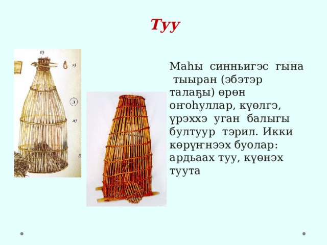 Туу Маһы синньигэс гына тыыран (эбэтэр талаҕы) өрөн оҥоһуллар, күөлгэ, үрэххэ уган балыгы бултуур тэрил. Икки көрүҥнээх буолар: ардьаах туу, күөнэх туута 