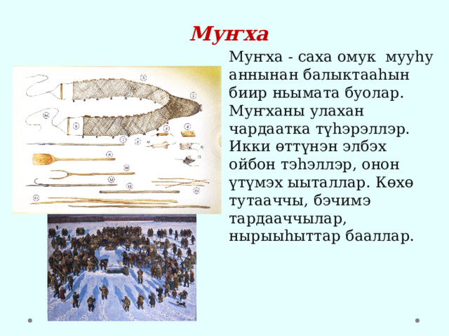 Муҥха Муҥха - саха омук мууһу аннынан балыктааһын биир ньымата буолар. Муҥханы улахан чардаатка түһэрэллэр. Икки өттүнэн элбэх ойбон тэһэллэр, онон үтүмэх ыыталлар. Көхө тутааччы, бэчимэ тардааччылар, нырыыһыттар бааллар. 