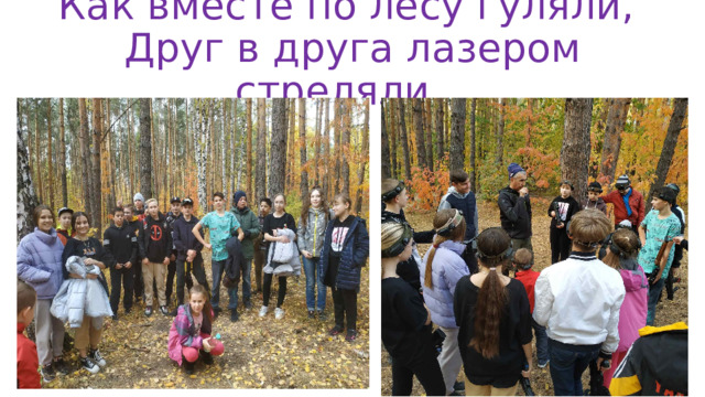 Как вместе по лесу гуляли,  Друг в друга лазером стреляли… 