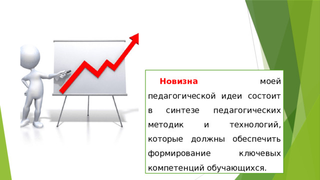 Новизна моей педагогической идеи состоит в синтезе педагогических методик и технологий, которые должны обеспечить формирование ключевых компетенций обучающихся. 