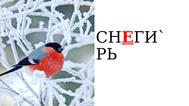 СН Е ГИ`РЬ  