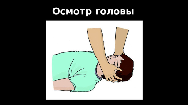 Осмотр головы  
