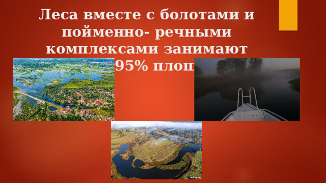 Леса вместе с болотами и пойменно- речными комплексами занимают около 95% площади. 