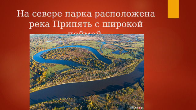 На севере парка расположена река Припять с широкой поймой. 