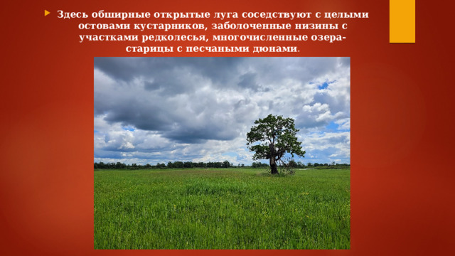 Здесь обширные открытые луга соседствуют с целыми остовами кустарников, заболоченные низины с участками редколесья, многочисленные озера-старицы с песчаными дюнами . 