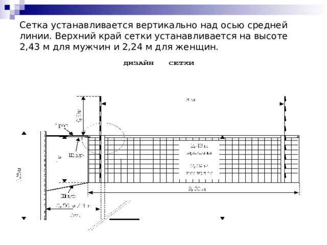Сетка устанавливается вертикально над осью средней линии. Верхний край сетки устанавливается на высоте 2,43 м для мужчин и 2,24 м для женщин.   