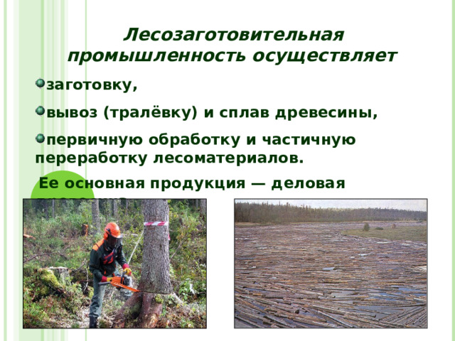 Лесозаготовительная промышленность осуществляет  заготовку, вывоз (тралёвку) и сплав древесины, первичную обработку и частичную переработку лесоматериалов.  Ее основная продукция — деловая древесина  