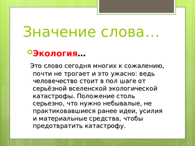 Значение слова… Экология …  Это слово сегодня многих к сожалению, почти не трогает и это ужасно: ведь человечество стоит в пол шаге от серьёзной вселенской экологической катастрофы. Положение столь серьезно, что нужно небывалые, не практиковавшиеся ранее идеи, усилия и материальные средства, чтобы предотвратить катастрофу. 