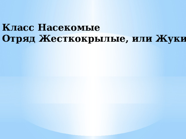 Класс Насекомые Отряд Жесткокрылые, или Жуки 