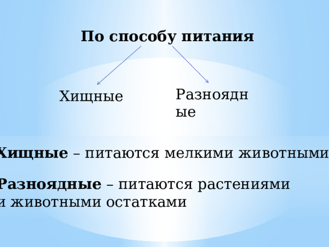 По способу питания Разноядные Хищные Хищные – питаются мелкими животными Разноядные – питаются растениями и животными остатками 