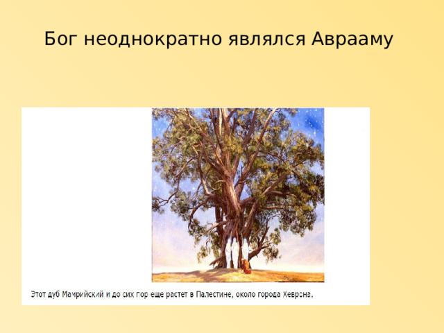 Бог неоднократно являлся Аврааму   