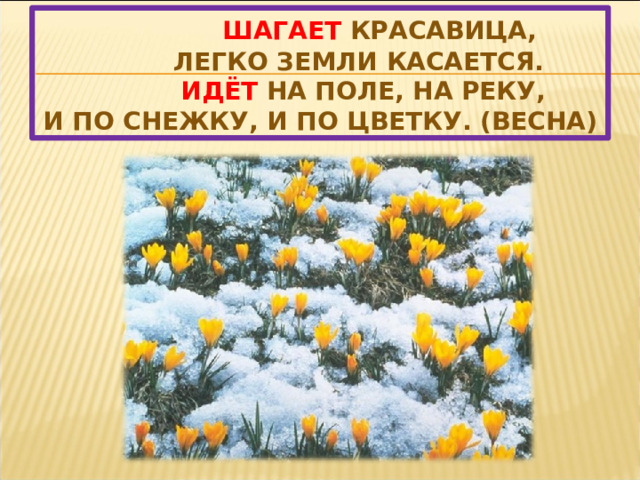  Шагает красавица,  Легко земли касается.   Идёт на поле, на реку,  И по снежку, и по цветку. (весна) 