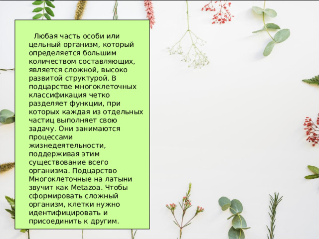  Любая часть особи или цельный организм, который определяется большим количеством составляющих, является сложной, высоко развитой структурой. В подцарстве многоклеточных классификация четко разделяет функции, при которых каждая из отдельных частиц выполняет свою задачу. Они занимаются процессами жизнедеятельности, поддерживая этим существование всего организма. Подцарство Многоклеточные на латыни звучит как Metazoa. Чтобы сформировать сложный организм, клетки нужно идентифицировать и присоединить к другим. 