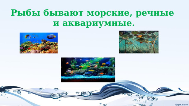Рыбы бывают морские, речные и аквариумные. 