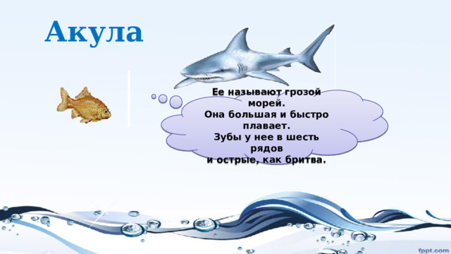 Акула  Ее называют грозой морей.  Она большая и быстро плавает.  Зубы у нее в шесть рядов  и острые, как бритва.   